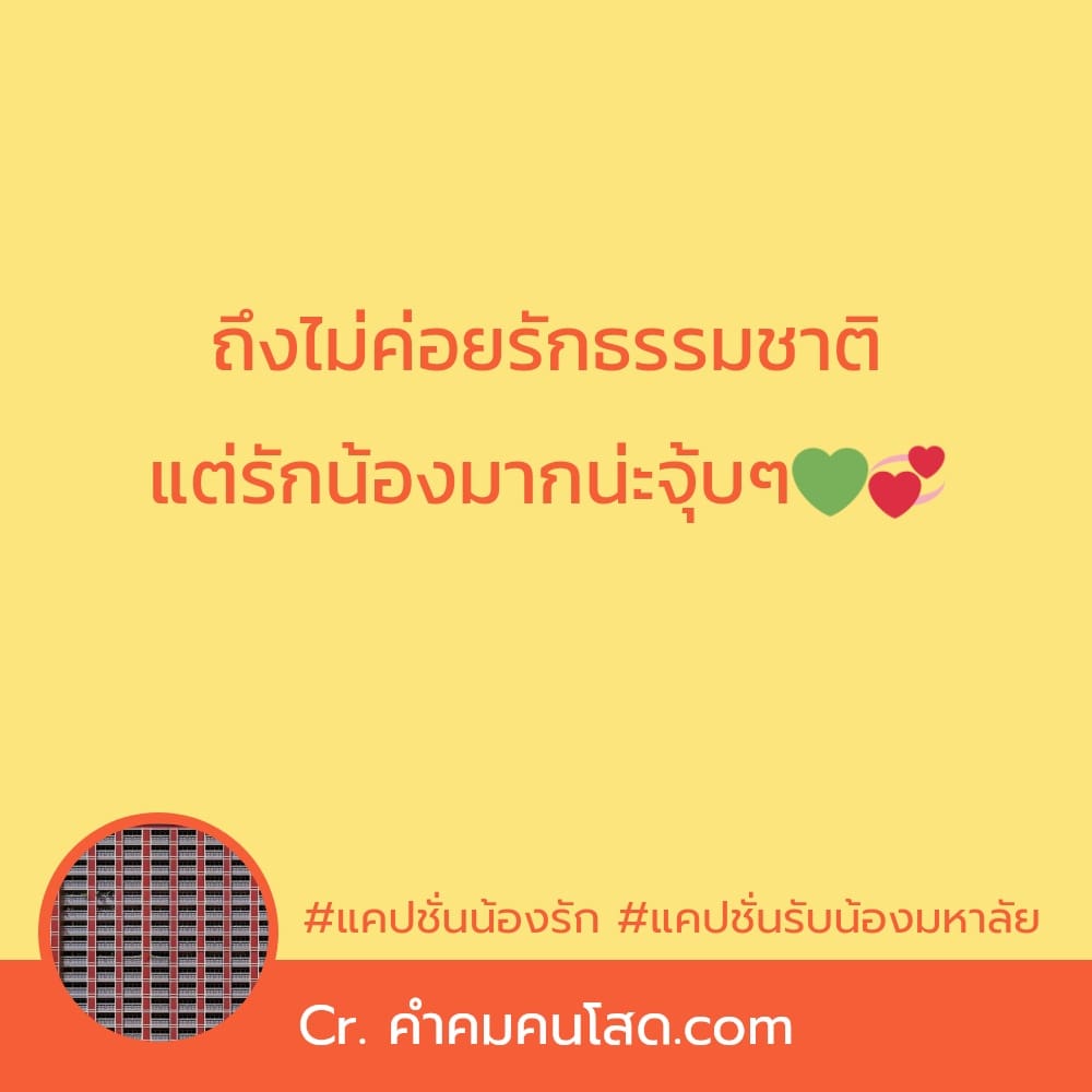 มาใหม่ แคปชั่นรุ่นน้อง แคปชั่นอ่อยจากหนังสือ  จำไว้เรียกฟอลบนเฟสบุคอ่านแล้วต้องยิ้ม